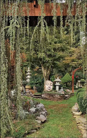  ?? Baltimore Sun/TNS/AMY DAVIS ?? Through the hanging branches of a Weeping Atlas cedar cascading over an arbor, a large Buddha head and some decorative pagodas can be glimpsed. David Boteach has been developing his Japanese garden for more than 35 years.