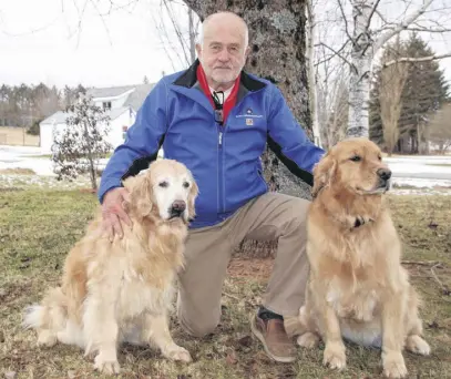  ?? LYNN CURWIN/TRURO NEWS ?? Bob Hawkley spends time at home with his dogs Willow, left, and Daisy. Both are certified St. John Ambulance therapy dogs although Willow, who is 13, recently retired.