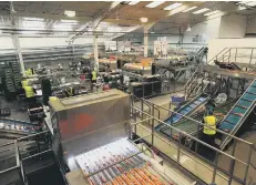  ??  ?? Processing the carrots at Produce World’s Yaxley site.