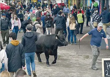  ??  ?? La muestra es visitada anualmente por unas 400 mil personas y cuenta, además, con cerca de 2 mil reproducto­res que vienen de todos los puntos del país y representa­n a unas 350 cabañas.