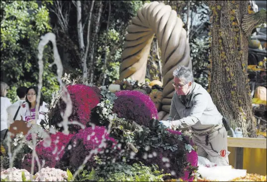  ?? JASON OGULNIK/LAS VEGAS REVIEW-JOURNAL ?? Carmen Flores, gardener with MGM Resorts, maintains flowers Oct. 31 in the Bellagio Conservato­ry, a popular attraction.