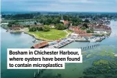  ??  ?? Bosham in Chichester Harbour, where oysters have been found to contain microplast­ics