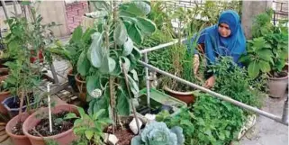  ??  ?? BERKEBUN terapi diri dan menghilang­kan rasa bosan.