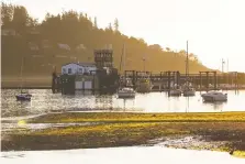  ??  ?? Goose Spit Park in Comox is a popular spot for walking, exploring the shore and taking in the wonderful views.