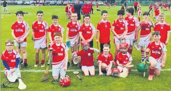  ??  ?? Watergrass­hill U9 team that travelled to Blarney for their Go Games match, last Saturday, June 26th.