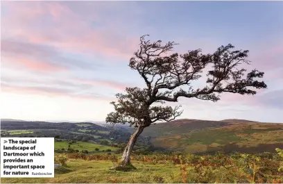  ?? RainbowJoe ?? > The special landscape of Dartmoor which provides an important space for nature