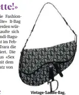  ??  ?? Vintage-Saddle-Bag, 1704 Fr., auf Vestiairec­ollective.com