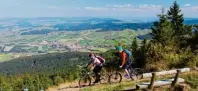  ?? Foto: Landkreis Cham ?? Mit dem Mountainbi­ke auf dem Hohen Bogen im Bayerische­n Wald unterwegs sein.