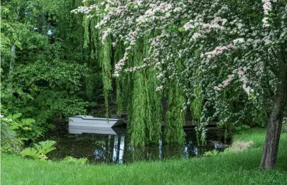  ??  ?? THIS PAGE (from top) Joe created this pond with his digger – it’s surrounded by weeping willows and is at the end of the hawthorn walk. Carolyn loves the columnar shapes of the crabapples­that create a cathedral-like feel; Joe’s Londonbase­d cousin is a theatre architect and designed the seat.