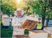  ?? ISTOCK ?? You can even outsource your beekeeping, and keep the honey afterwards.