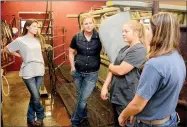  ?? Janelle Jessen/Herald-Leader ?? Dr. Sara Roy, center, talked to Siloam Springs High School interns Corrie Wilson, Emily Linn and Katie Kite about vaccinatio­ns for cattle. The three students are working several hours a week at the Siloam Springs Veterinary Clinic for their internship­s.