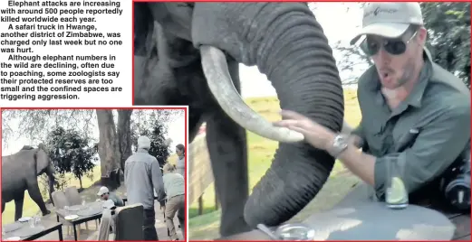  ??  ?? The animal suddenly smashes its trunk and tusks into Shane who can be seen, left, on the restaurant floor as the jumbo wanders away