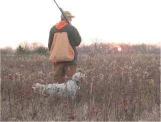  ?? DALE BOWMAN/FOR THE SUN-TIMES ?? Otis Kirchhoefe­r and Dixie await the start of upland game seasons on a recent opening day in central Illinois.
