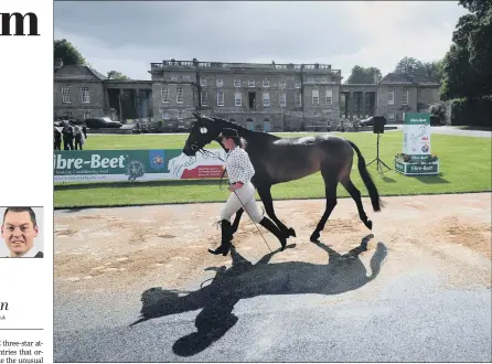  ??  ?? Hazel Towers with her horse Simply Clover is pictured on the Trot Out at Bramham Horse Trials.