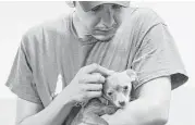  ?? Karen Warren / Houston Chronicle ?? Ian Radogna cradles a small dog at Dogtopia. Fortyone percent of households in the area own dogs.