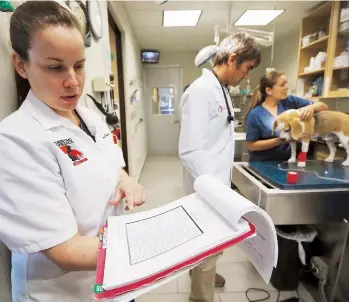  ??  ?? La veterinari­a Belén Acevedo muestra el expediente que preparan de cada paciente, en el que, según cada caso, anotan los medicament­os que usarán en caso de emergencia.