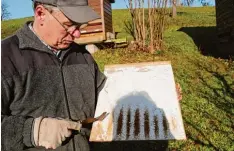  ?? Foto: Willi Baur ?? Der Neuhauser Imker Albert Stadler untersucht die Einlage eines Bienenstoc­ks auf Milbenbefa­ll.