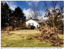  ??  ?? Trees cover a property on East Jackson Road in Clark County. All of the damage was caused by an EF-0 tornado the National Weather Service confirmed Friday.