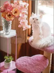  ?? JESSICA PORTILLO VIA THE NEW YORK TIMES ?? Jessica Portillo purchased one of the “sweetheart mini scratchers” from Hollywood Kitty Co. in 2019. Portillo didn’t mind spending $179 on her cat scratcher because cat trees are “already expensive, so you might as well get a cute one.”