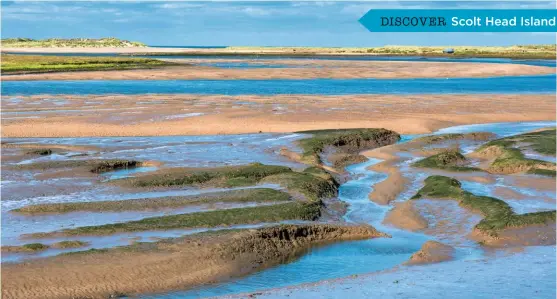  ??  ?? ▲ AT LOW TIDE...
The marshes drain and you can walk, squelch and wade out to the sand bar of Scolt Head Island.