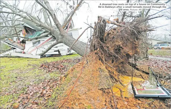  ?? Picture: AP ?? A downed tree rests on top of a house on Community Rd in Baldwyn after a small tornado moved through the area.