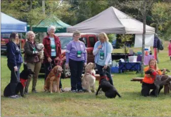  ??  ?? Hudson Crossing Park recently celebrated the many ways working dogs enhance lives with the 2nd Annual Canines Crossing at the Park.