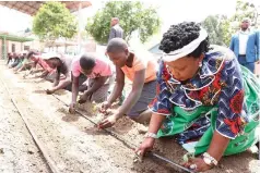  ?? ?? First Lady Dr Auxillia Mnangagwa leads children who live and work on the streets and drug abusers in planting vegetables in a garden she establishe­d at the skills developmen­t and training centre she launched in Mbare, Harare