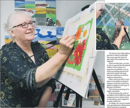  ?? PICTURES: JONATHAN GAWTHORPE ?? NEW SKILL: Janet Heaven discovered a talent for painting after she suffered a stroke and now has her own gallery.