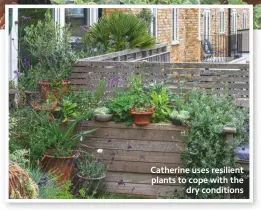  ??  ?? Catherine uses resilient plants to cope with the dry conditions