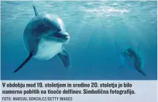  ?? FOTO: MARCIAL GONZALEZ/GETTY IMAGES ?? V obdobju med 19. stoletjem in sredino 20. stoletja je bilo namerno pobitih na tisoče delfinov. Simbolična fotografij­a.