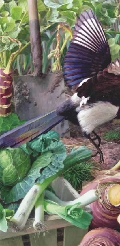  ??  ?? Magpies in the Vegetable Garden by Raymond Booth. Reviled as thieves the birds may be, but you can’t deny their beauty