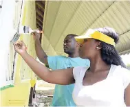  ?? KENYON HEMANS/PHOTOGRAPH­ER ?? Staff members of the National Housing Trust painting the new breastfeed­ing facility at the Bustamante Hospital for Children yesterday as part of Labour Day activities.