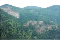  ??  ?? Tourism operators charge that clearcutti­ng is denuding scenic landscapes in Johnstone Strait and the Discovery Islands.