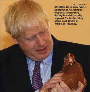  ?? GETTY IMAGES ?? BR-EGGS-IT: British Prime Minister Boris Johnson inspects the poultry during his visit to rally support for his farming plans post-Brexit in Wales on Tuesday.