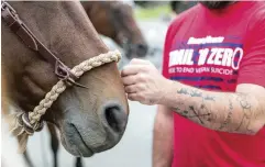  ??  ?? AT BraveHeart­s, veteran find healing through horses. Left: Veteran Mitchell Reno served in Afghanista­n and Iraq.