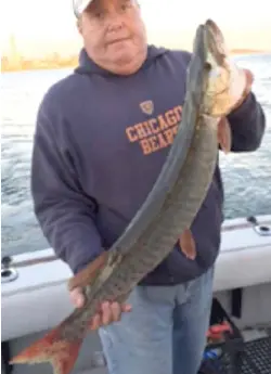  ?? | FOR THE SUN- TIMES ?? A photo of the 34- inch muskie caught and released near the ‘‘ Hole- in- theWall,’’ just outside the East Chicago ( Indiana) Marina.