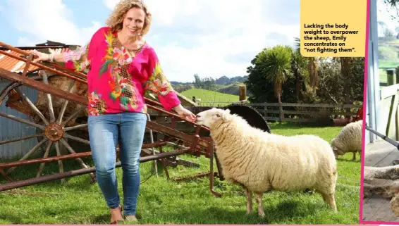  ??  ?? Lacking the body weight to overpower the sheep, Emily concentrat­es on“not fighting them”.