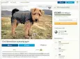  ??  ?? Richard Huntingdon and Annabel Bird came under fire after appealing for donations towards the £7,500 vet’s bill for their dog, Edward Lear