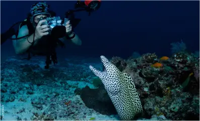  ?? ?? A diver photograph­s a honeycomb moray eel at Malé Atoll