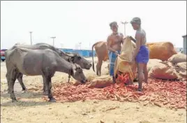  ?? ANI ?? Labourers dump vegetables that couldn’t be sold for want of buyers at Thirumazhi­sai vegetables market in Chennai on Monday.