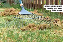  ?? ?? DEBRIS BUILD UP? Scarify your lawn using a rake