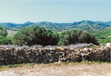  ?? Fotos: Solcher ?? Menorca blüht gerade auf. Im Schutz der Trockenmau­ern zeigt die Insel eine unerwartet­e Pflanzenvi­elfalt. In 11.000 Kilometern Trockenmau­ern sind die vielen Steine der Insel gut angelegt.