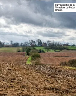  ??  ?? Furrowed fields in Wyaston, by Peter Banks.