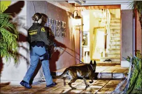  ??  ?? A law enforcemen­t officer enters a house with her drug sniffing dog during an arrest of a suspected trafficker Wednesday in Diamond Bar, Calif. In early morning raids agents fanned out across the U.S., capping a six-month investigat­ion.