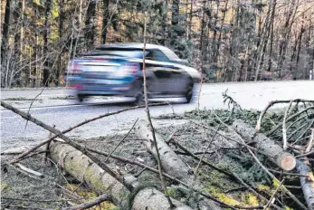  ?? FOTO: HAFI ?? Orkan „Sabine“hat zahlreiche Bäume gefällt. Die Feuerwehre­n mussten früh raus und sie von den Straßen holen, wie hier bei Willa.