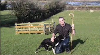  ??  ?? Martin Feeney of Atlantic Sheepdogs at his farm in Streedagh, North Sligo.