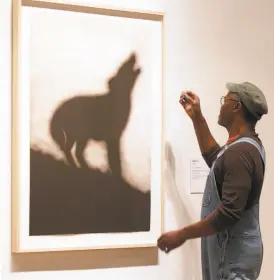  ?? Liz Hafalia / The Chronicle ?? Museum technician Tilroe “TC” Stevenson looks at “Coyote,” a 1986 color lithograph, ahead of the July opening of the de Young Museum’s exhibition “Ed Ruscha and the Great American West.”