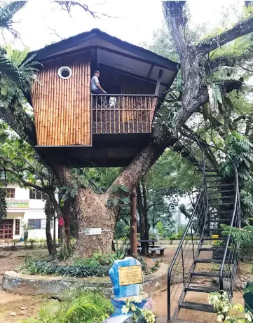  ??  ?? The treehouse at Pasonanca Park. It is functional and can be rented out for a night’s stay or two.