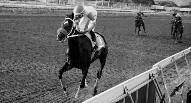  ?? ANTHONY MINOTT/PHOTOGRAPH­ER ?? BIG JULE, ridden by Omar Walker, comes home a lonely winner in the United Racehorse Trainers Associatio­n Trophy for Imported three-year-old and Upwards, over nine furlongs and 25 yards at Caymanas Park yesterday.