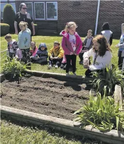  ?? BY KATHERINE TODD ?? The RCES kindergart­en flower bed will soon bloom.